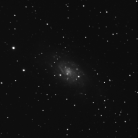 C7 - NGC 2403