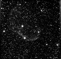 Crescent Nebula