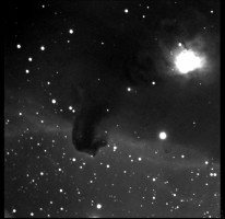 Horsehead Nebula