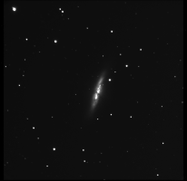 Cigar Galaxy